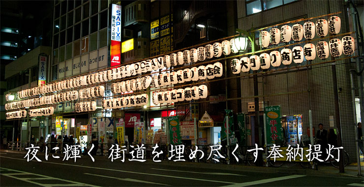 夜に輝く 街道を埋め尽くす奉納提灯